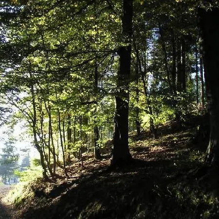 Fichtenweg 26-a4 *